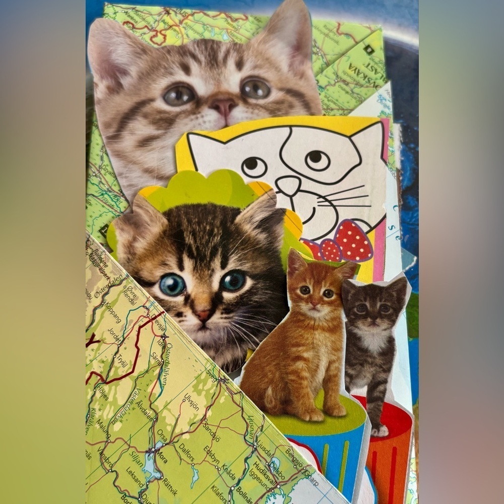 Cats Ephemera map multi pocked filled with stickers and ephemera